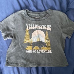 Yellowstone crop top